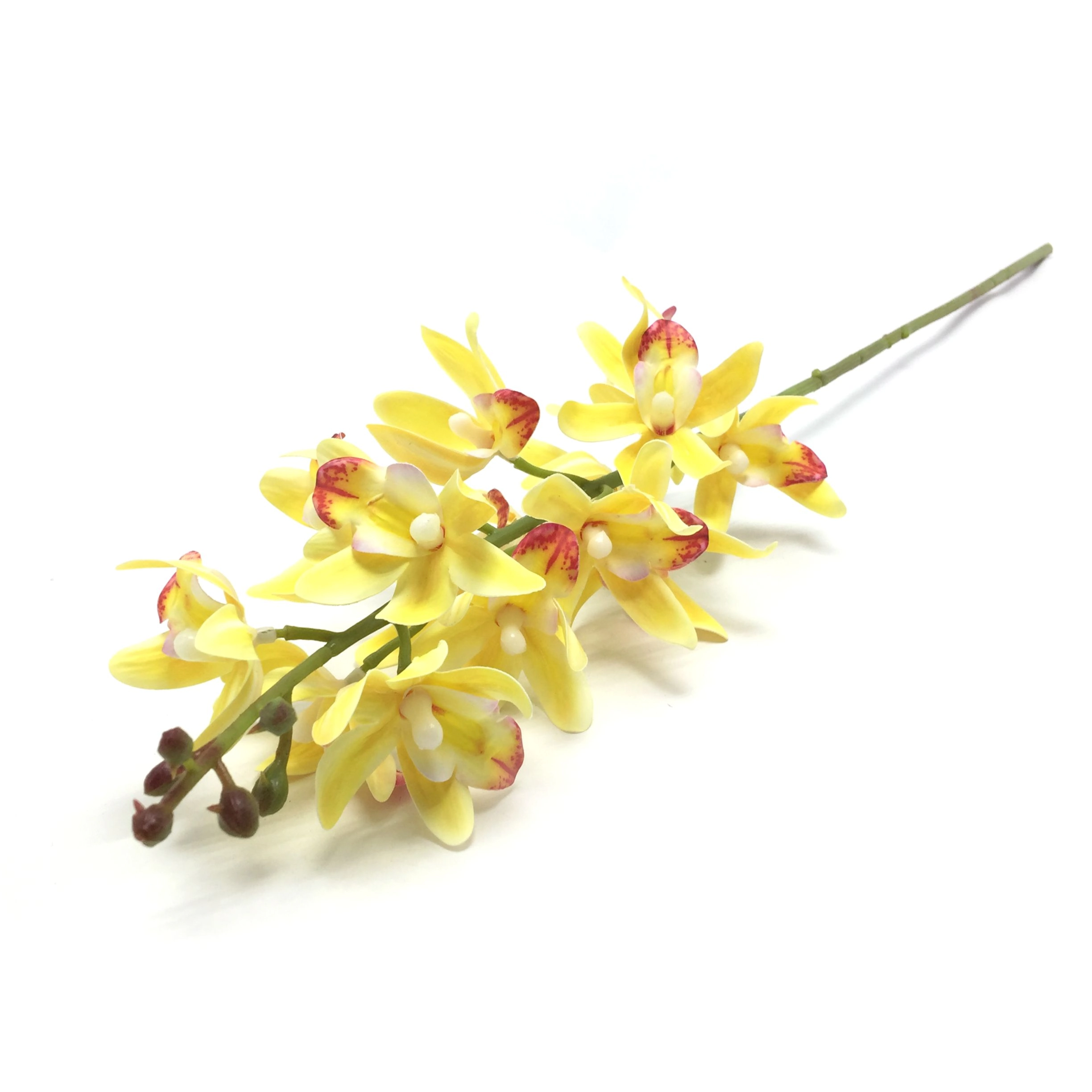 Galho Orquidea Denphal X15 79cm W530 01am Winmax