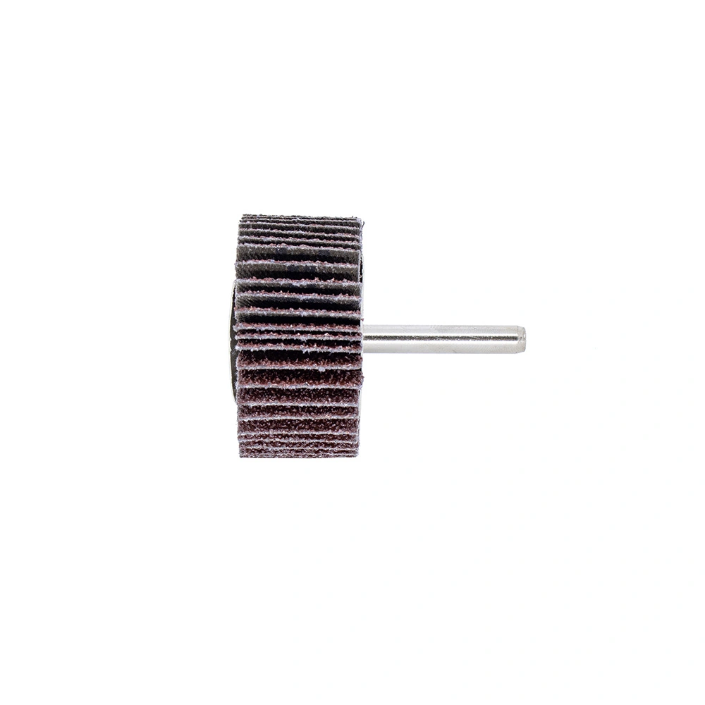 Mini Roda Lixa Pg Aeme 50x25 Haste 6mm 10 Unidades - 60