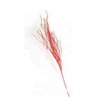 Enfeite Galho De Natal A8 Braco/vermelho 90cm