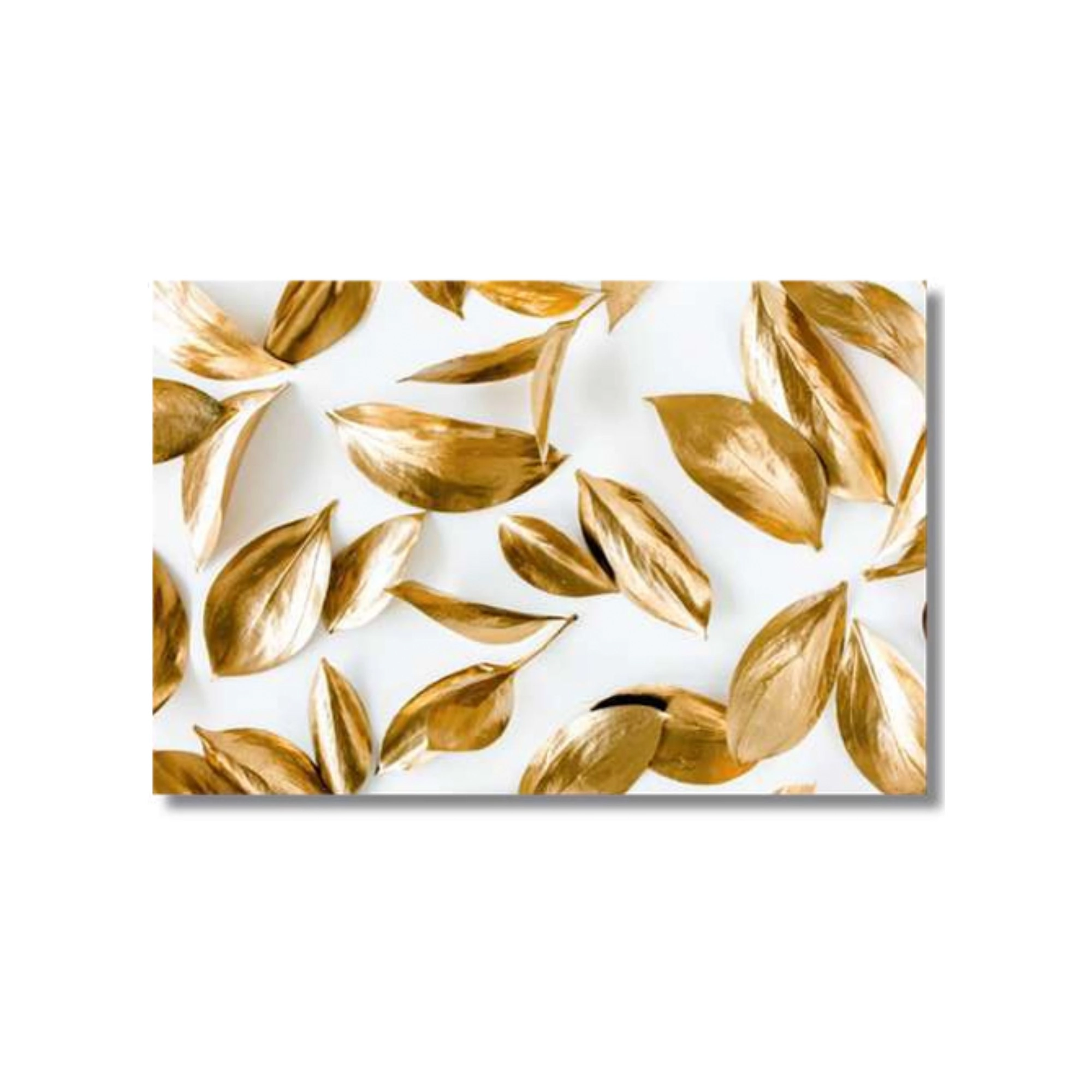 Quadro Canvas Folhas 60x90cm Tl6906 Brisa