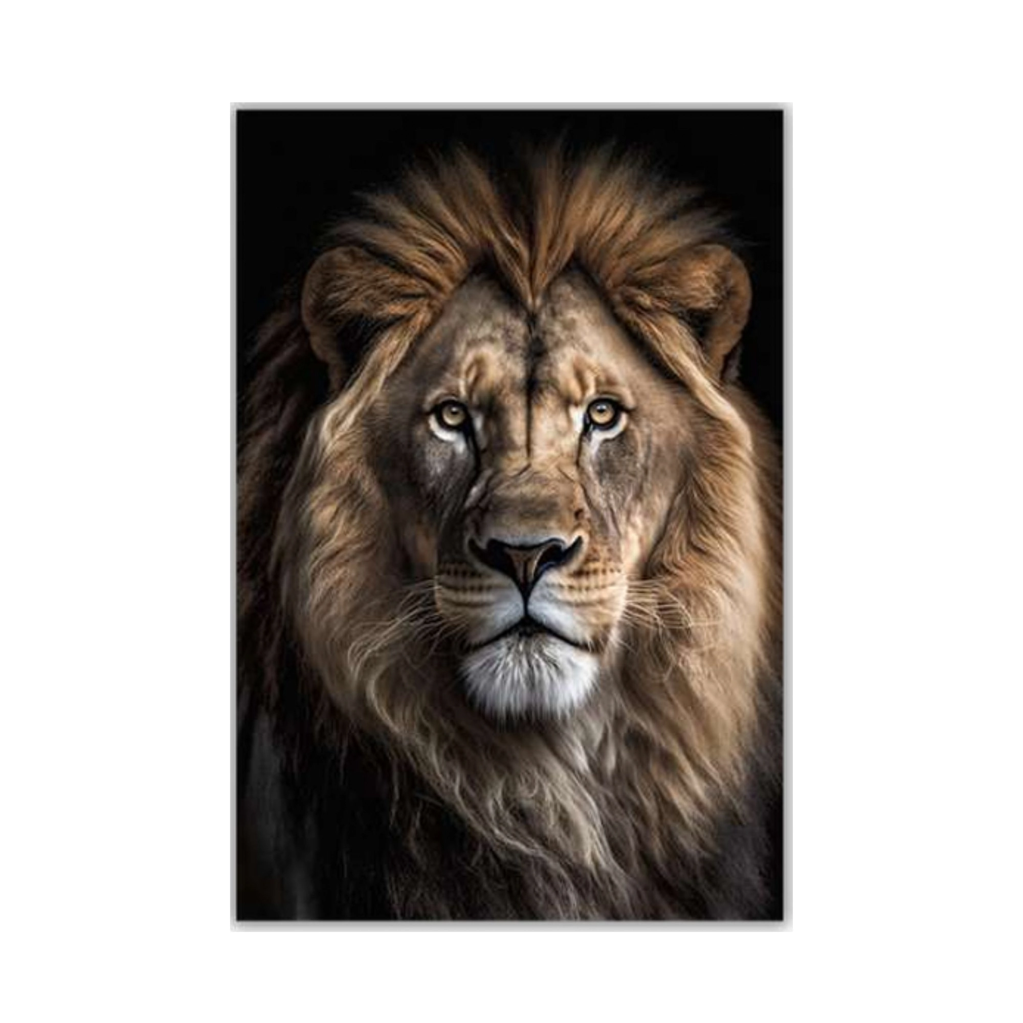 Tela Canvas 60x90