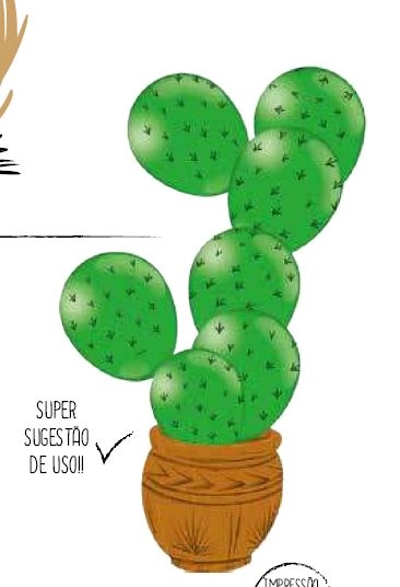 Balao Imp Especial Vd Cl Festa Junina Sertao 25un 111083 Festcolor