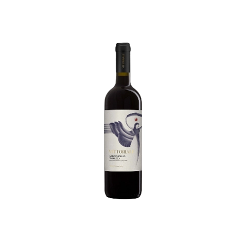 Vinho Ita Montepulciano Tto 750ml