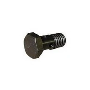 Parafuso Oco de Lubrificação do Cabeçote 10X21mm - ROCHEPECAS 1111373