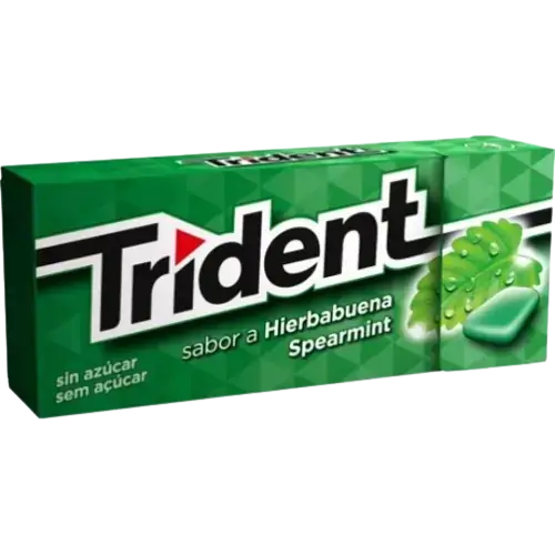 Chic Trident Spearmint C 24 14 5g