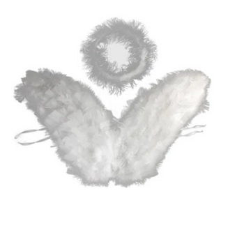Asa Anjo Branca C/aureola