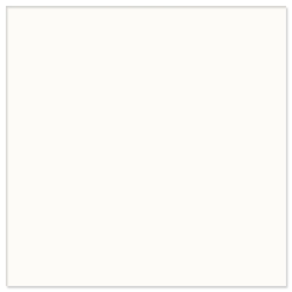 Porcelanato Esmaltado Interno Borda Reta 54x54cm modelo Classic White Via Rosa