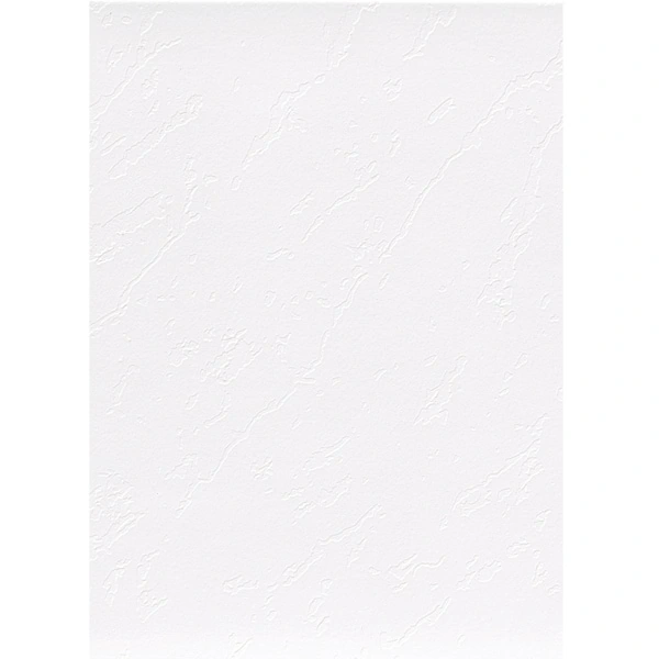 Revestimento de Parede Interno Monocolor Brilhante 33x46cm Borda Arredondada Cristal Cerbras