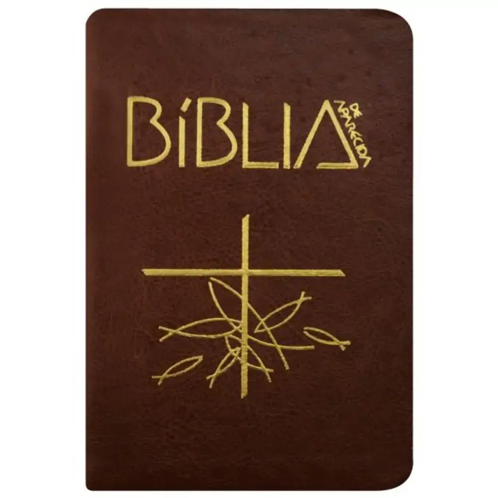 Biblia Sagrada De Aparecida Bolso Ziper Marrom