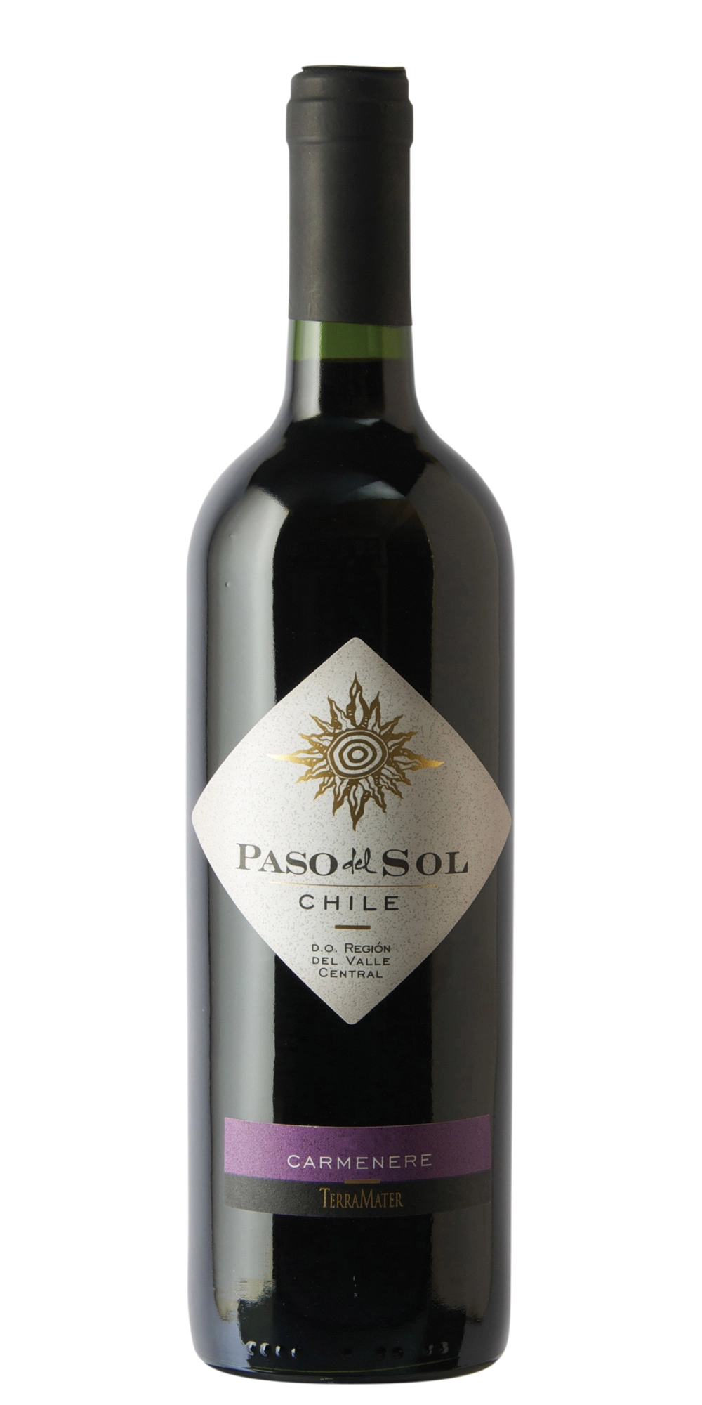 Vinho Paso Del Sol Carmenere