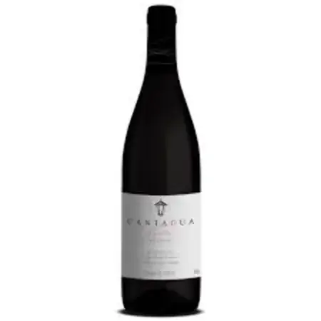 Vinho Cantagua Signature Pinot Noir