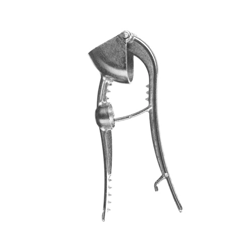 Cicley Espremedor Alho Rf.175