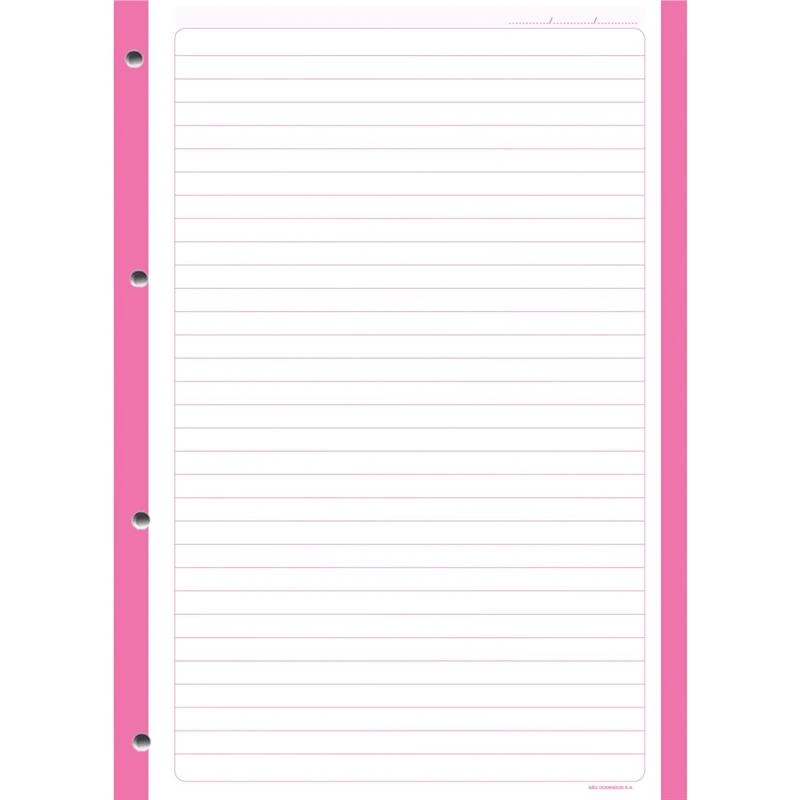 Caderno Escolar Com Furos Colorido 96f