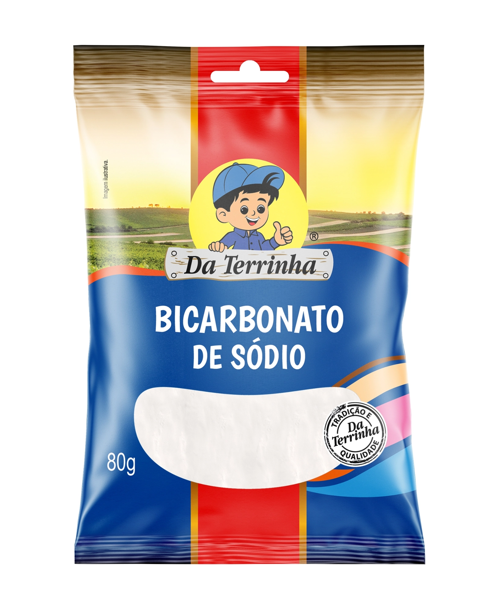 Bicarbonato De Sodio Da Terrinha 80g