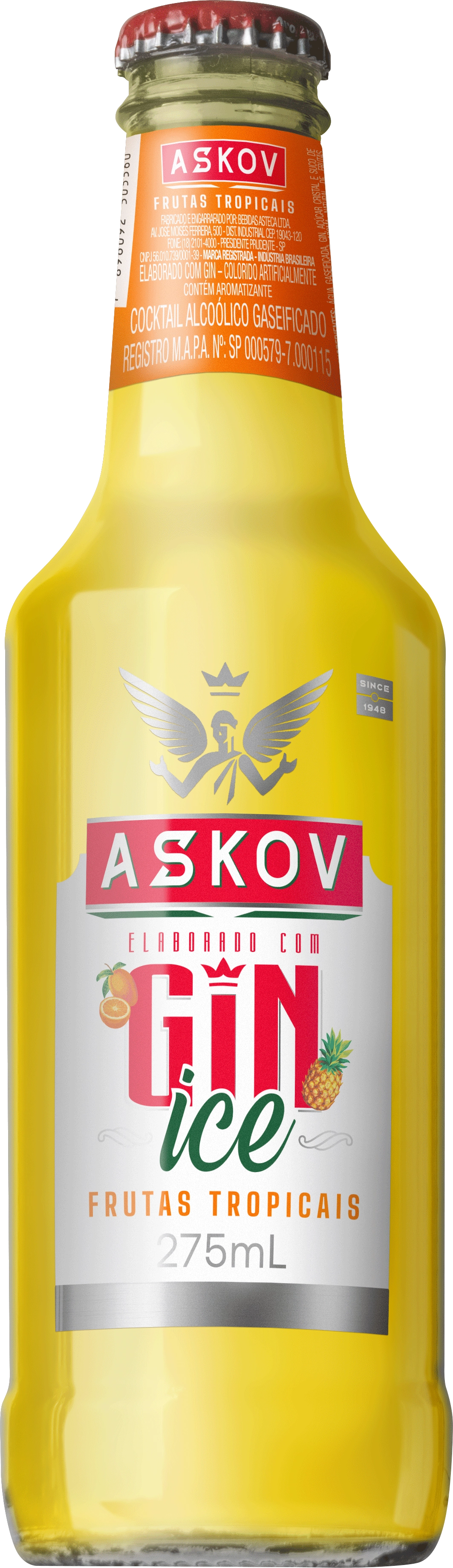 Bebida Mista Gin Ice Frutas Tropicais Askov 275ml