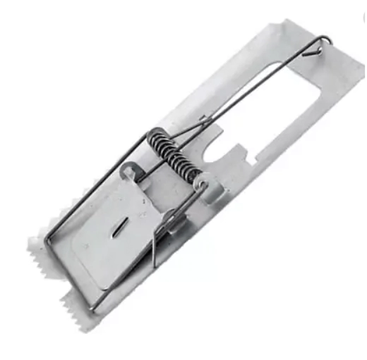 Ratoeira P 558 Assessorlar