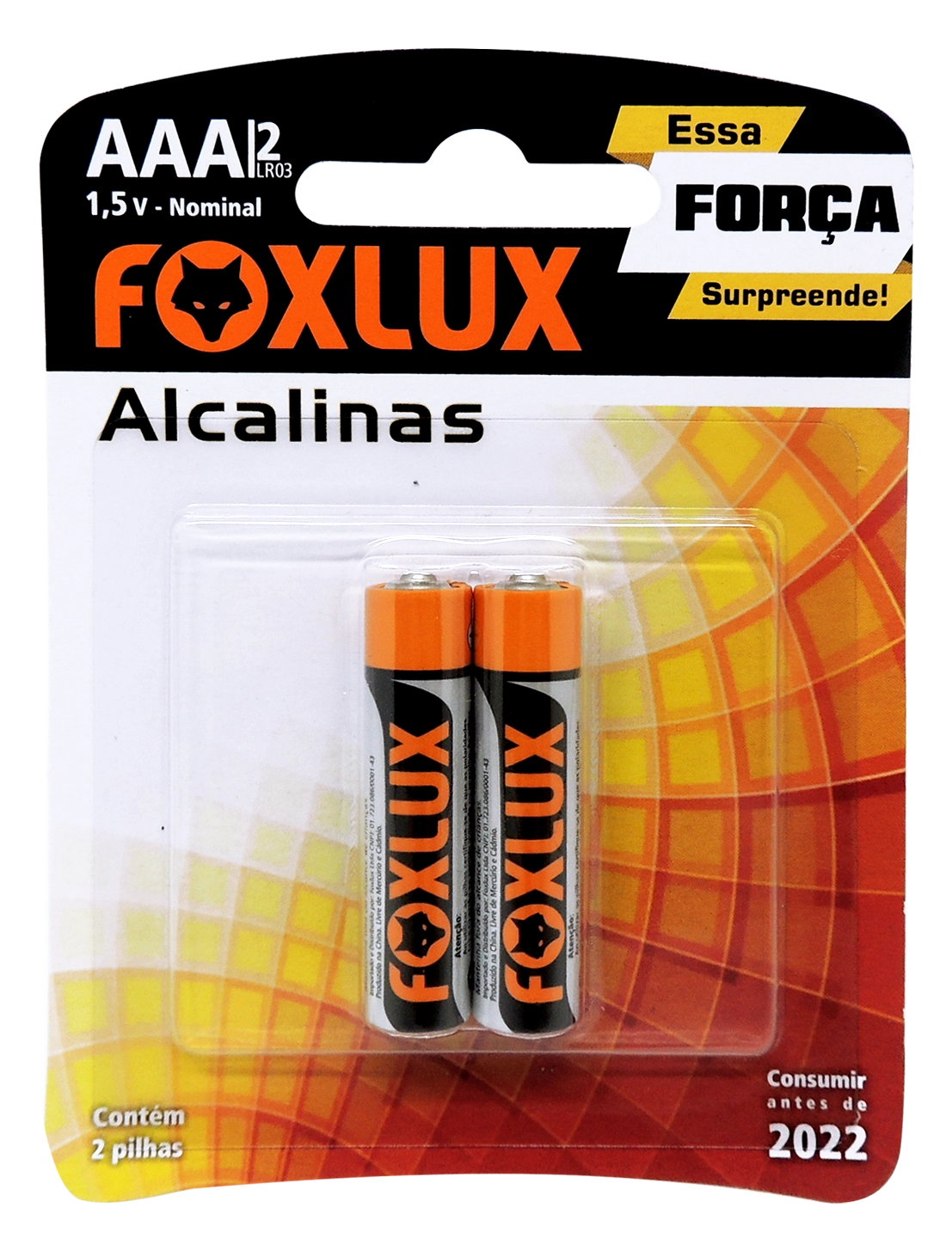 Pilha Alcalina Foxlux Palito 2