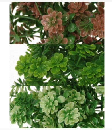 Buque Folhagem Mini Suculenta X7 25cm E 0982 H8