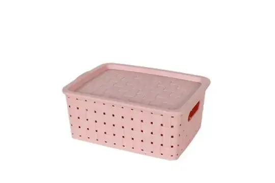 Caixa Organizadora Casambiente 25.9 X 19.5 X 10.5 Cm