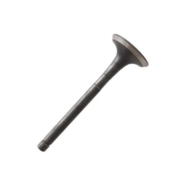 Válvula de Escape VOLKSWAGEN FOX/GOL - VOLKSWAGEN 030109611AE