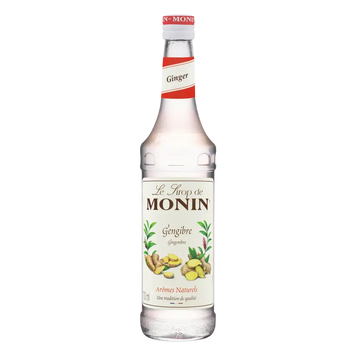 Xarope de Gengibre 700ml Monin
