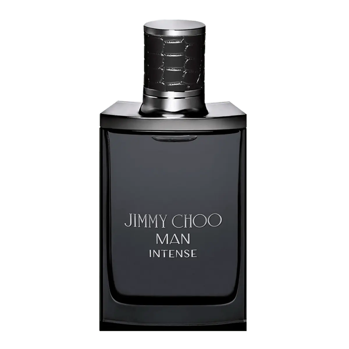 Jimmy Choo Man Intense Eau de Toilette - Perfume Masculino - 100ml 100ml