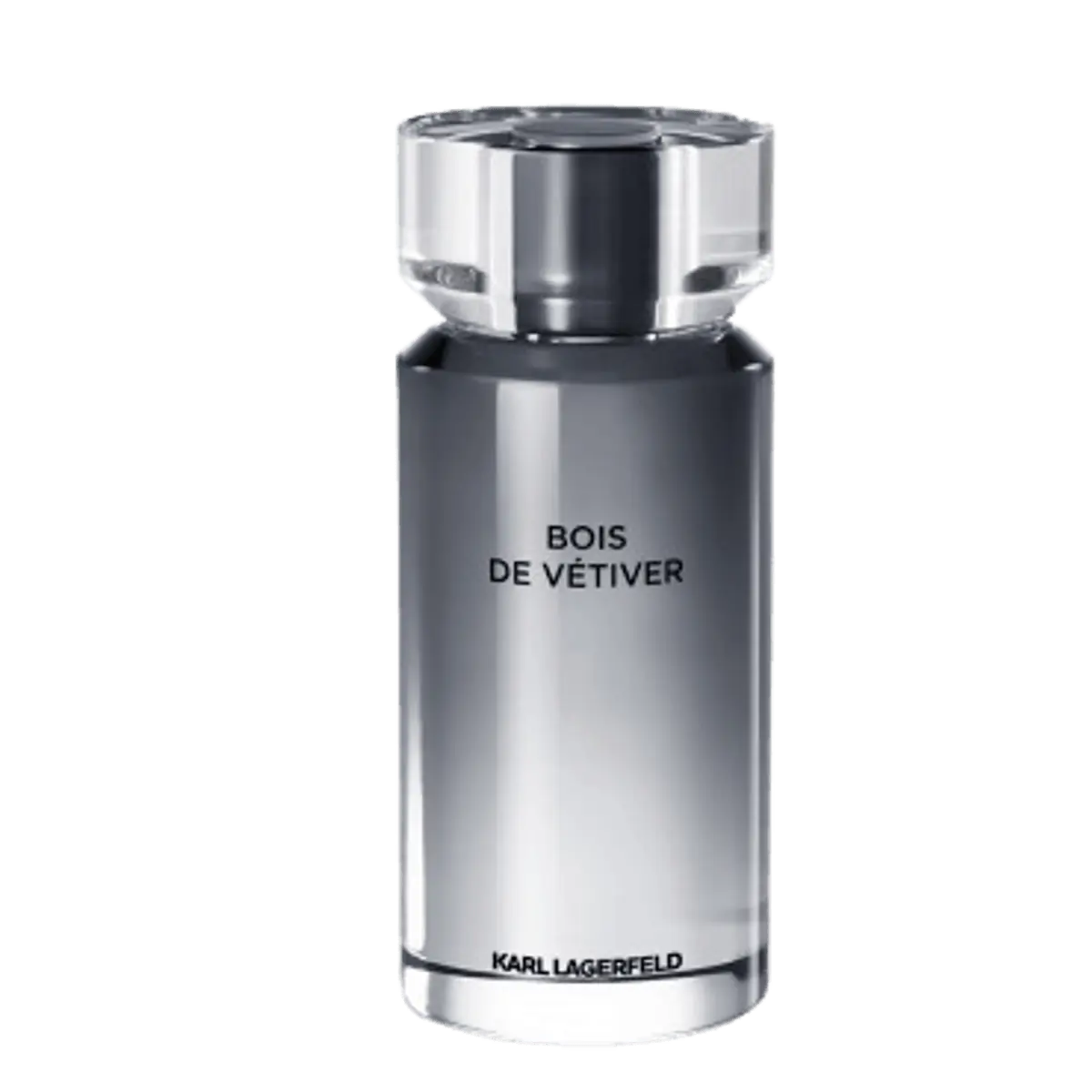 Karl Lagerfeld Bois de Vetiver Eau de Toilette - Perfume Masculino 100ml