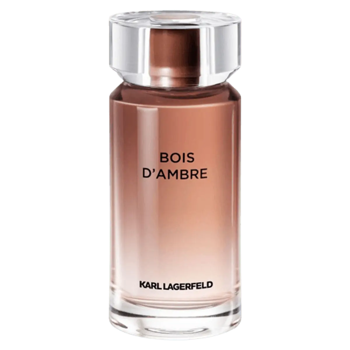 Karl Lagerfeld Bois Dambre Eau de Toilette - Perfume Masculino 100ml
