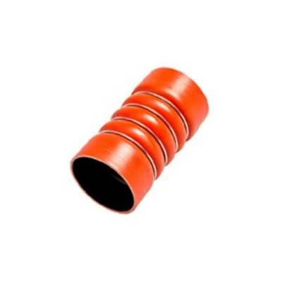 Mangueira do Intercooler - ROCHEPECAS 6685280182