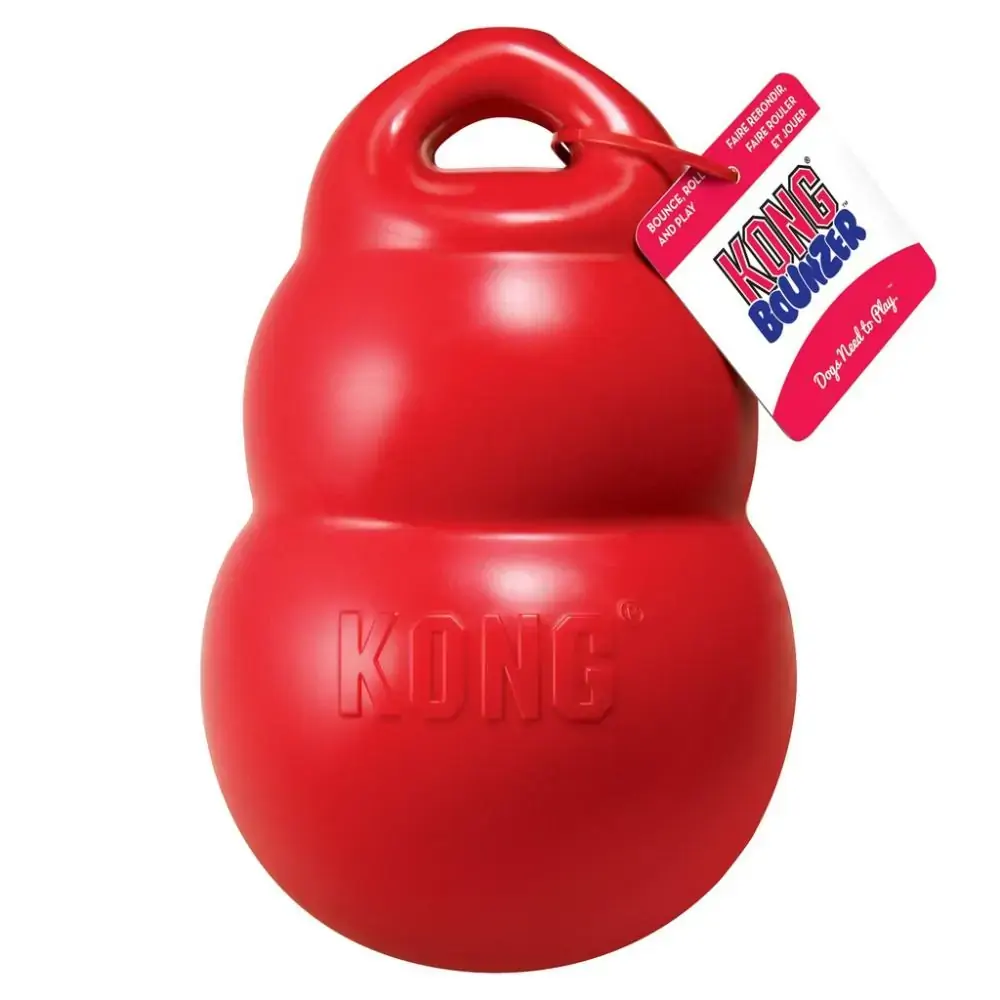 Kong Bounzer Medio