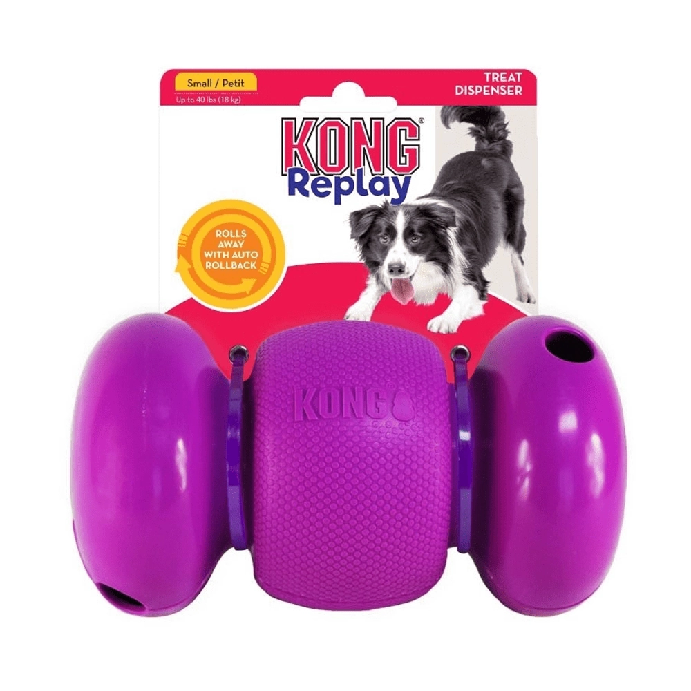 Kong Vai E Volta Pequeno