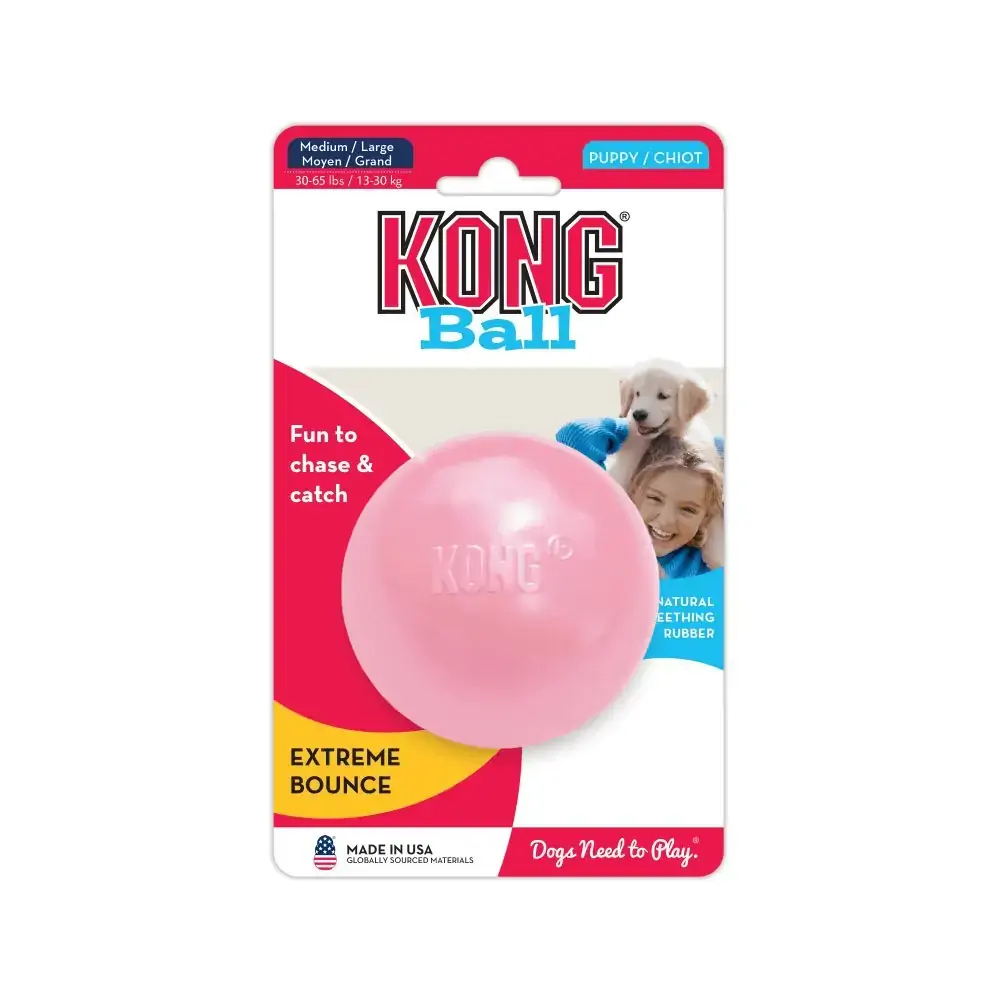 Brinquedo Puppy Bola Azul Ou Rosa Tamanho M Kong