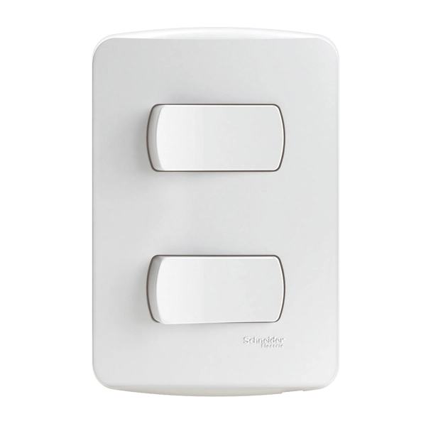 Conj 2int Simples 4x2 10a 250v Miluz