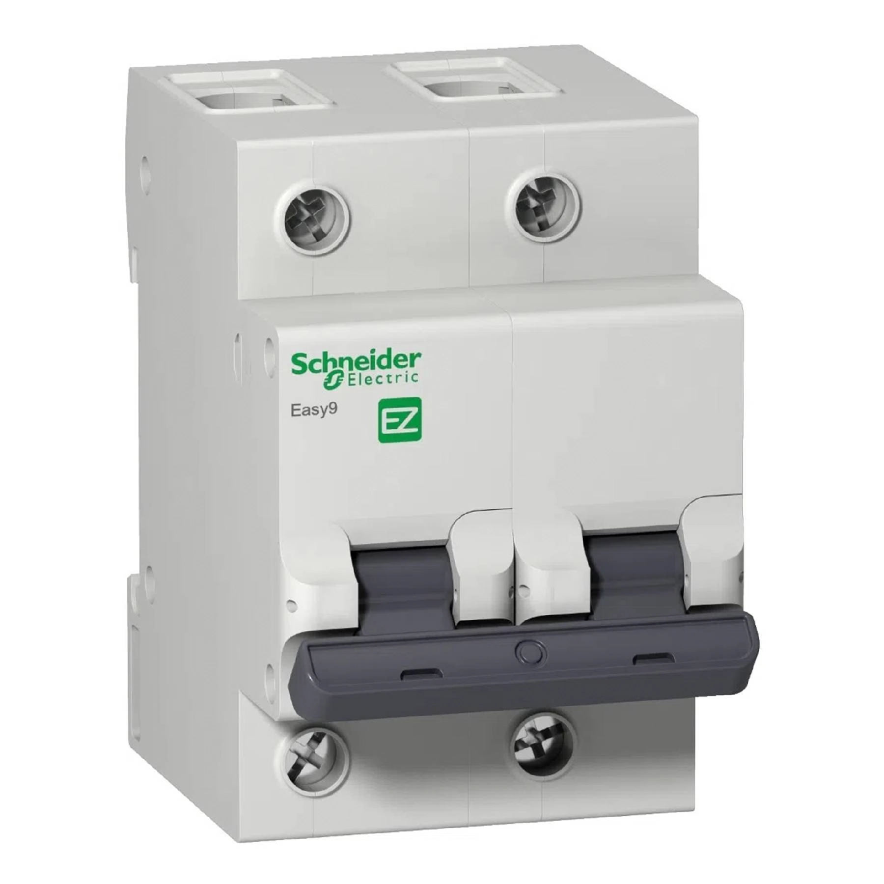 Disjuntor Din Bipolar Curva C 2P 80A Easy9 Schneider