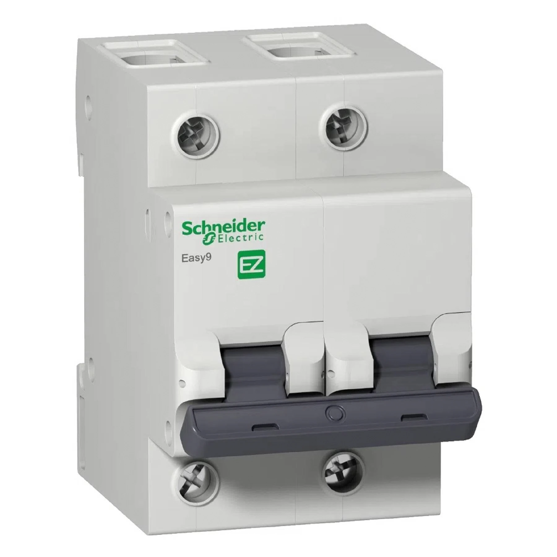 Disjuntor Din Bipolar Curva C 2P 125A Easy9 Schneider