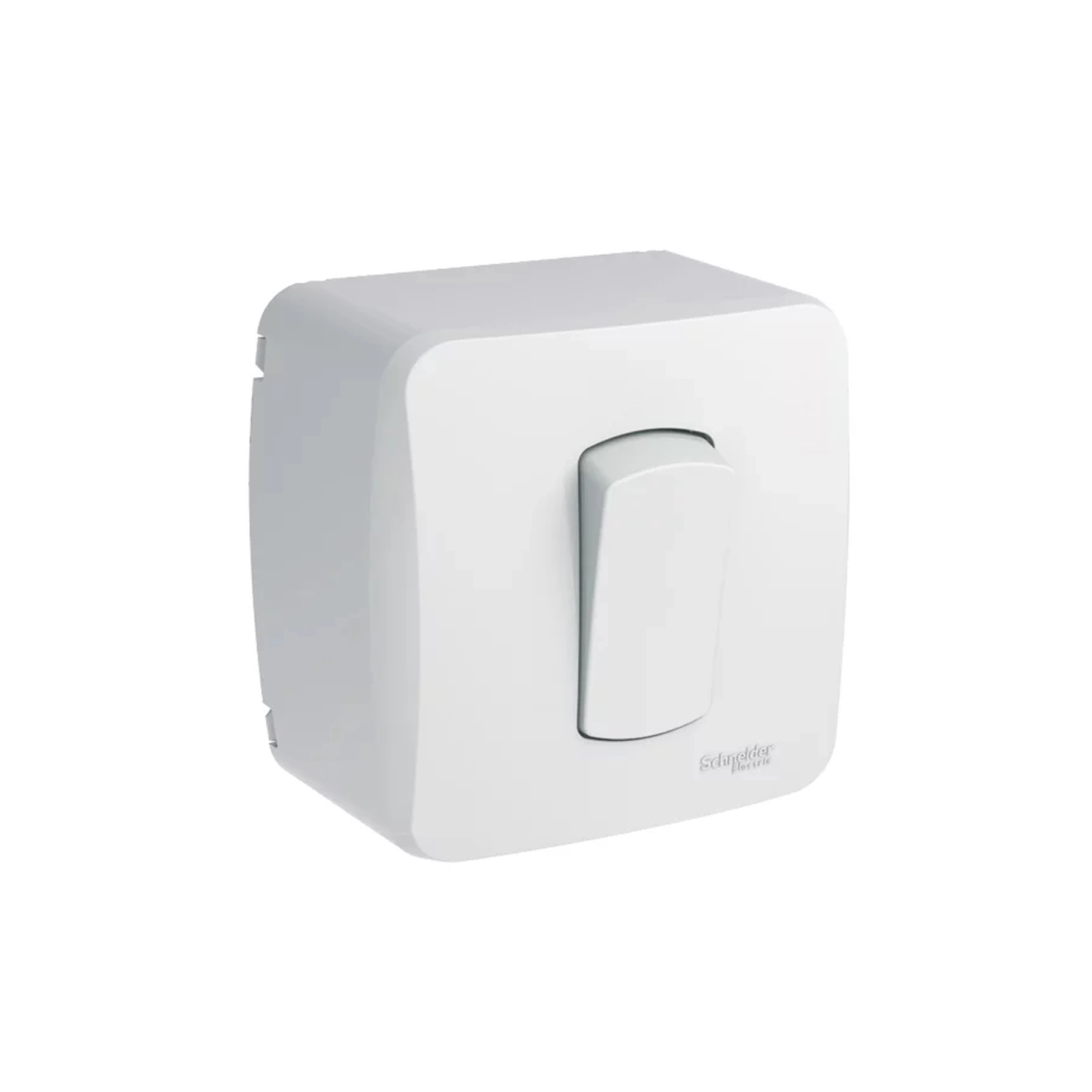 Conjunto De Sobrepor 1 Interruptor Simples 10A Miluz Schneider