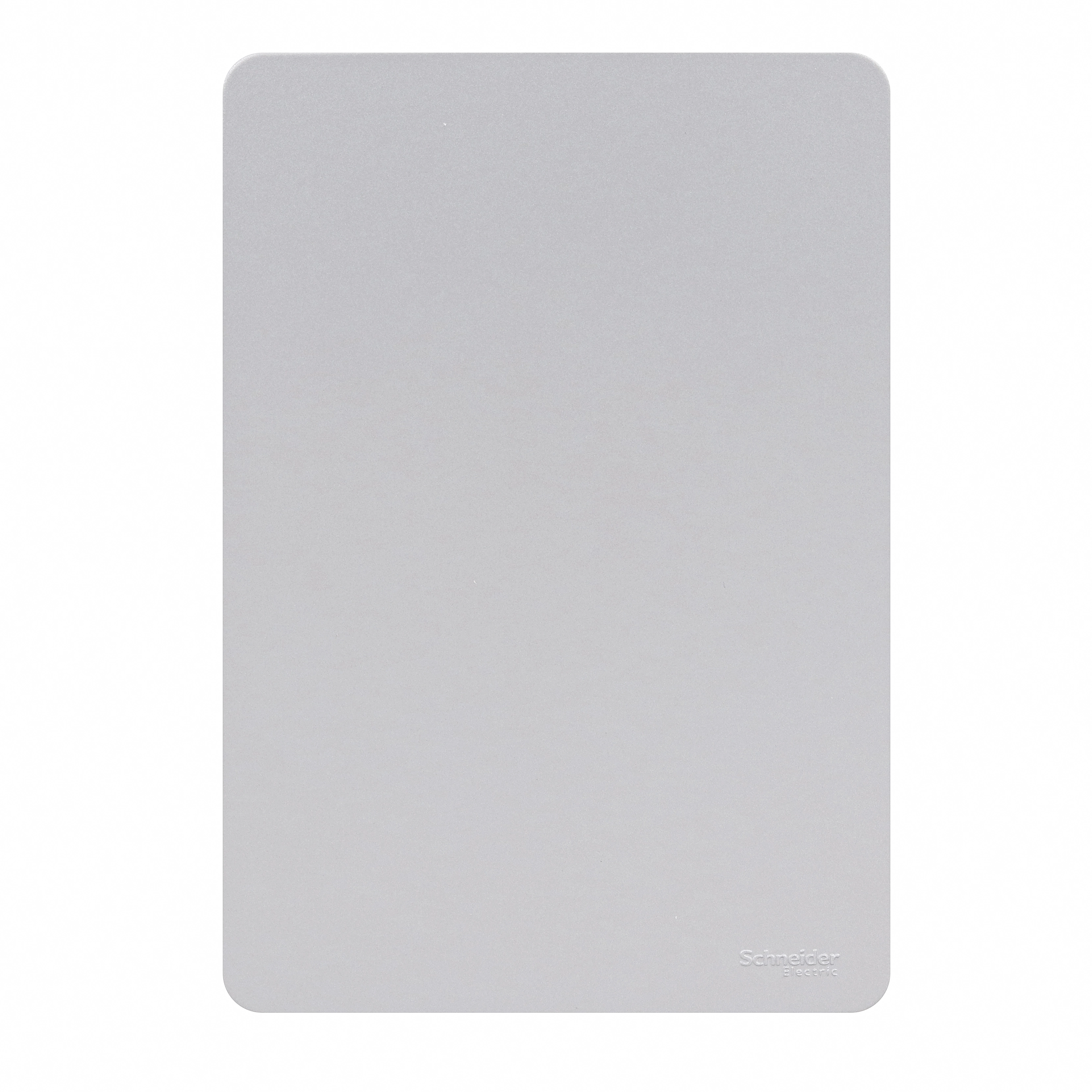 Placa 4X2 Cega Gamma Silver Orion Schneider