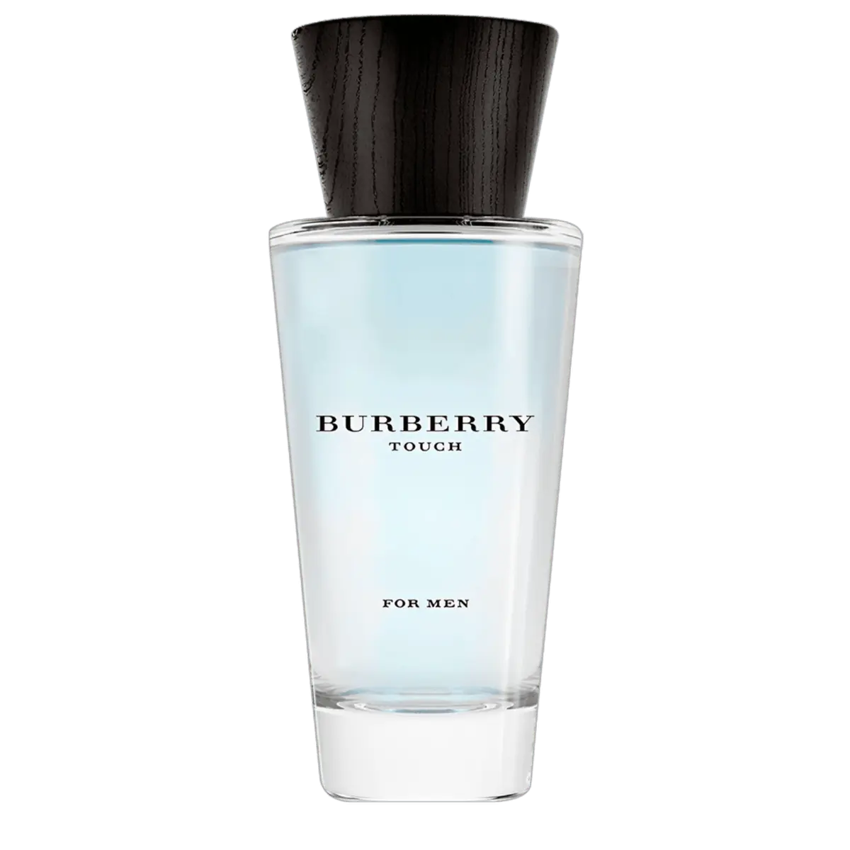 Burberry Touch Eau de Toilette - Perfume Masculino 100ml 100ml