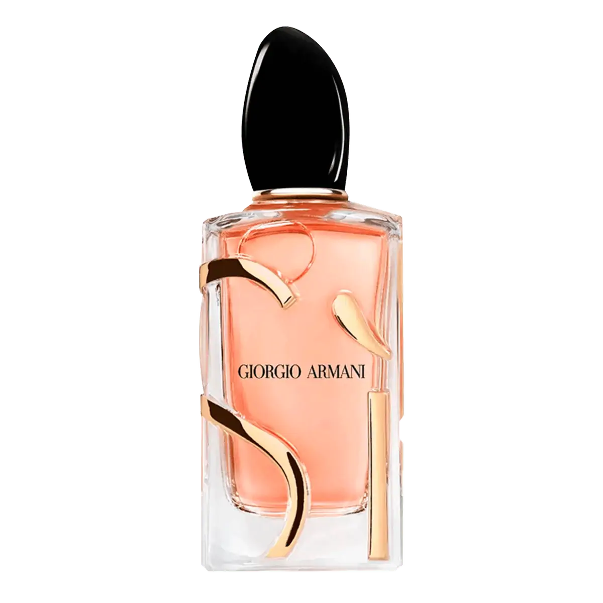 Giorgio Armani Si Eau De Parfum Intense Perfume Feminino 100ml
