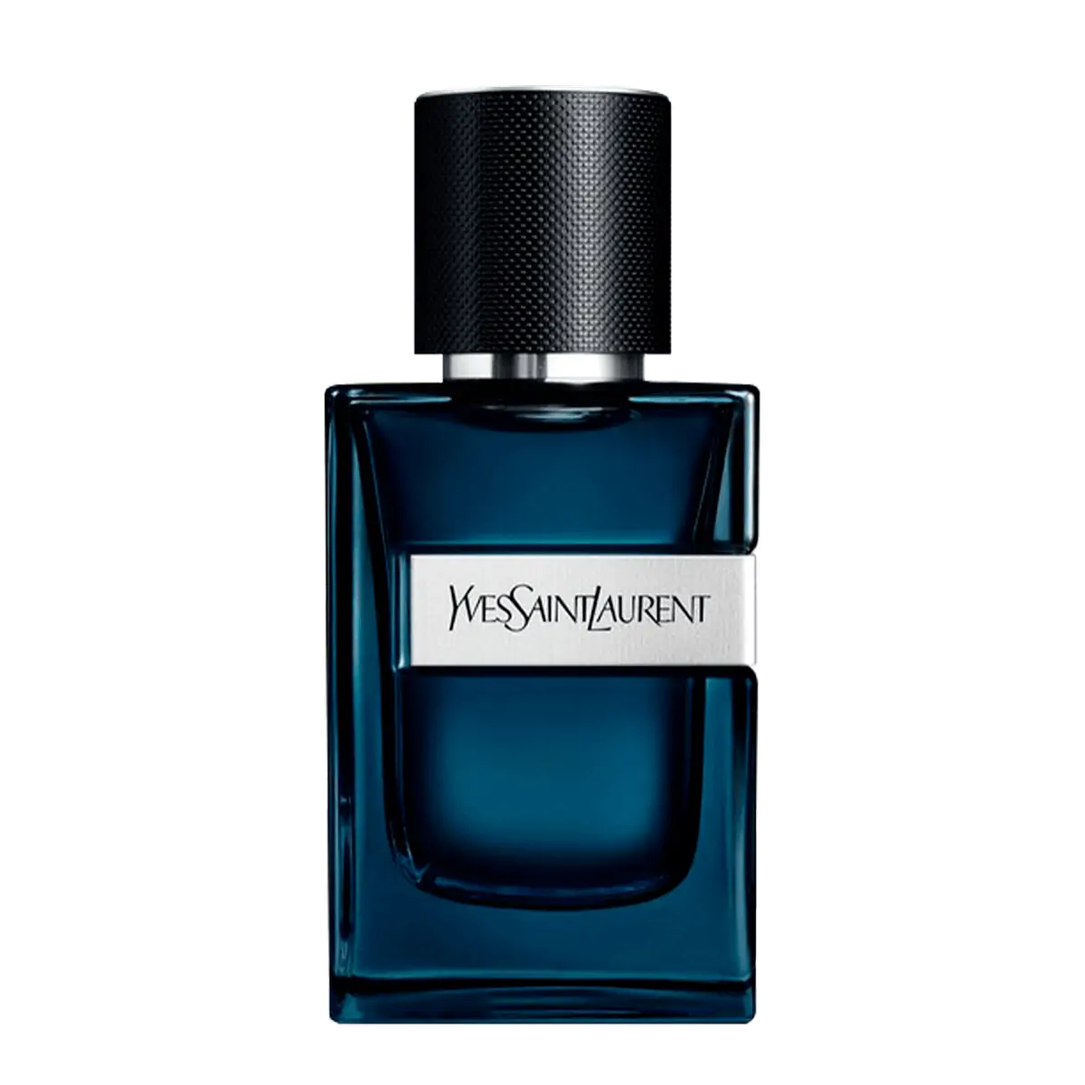 Perfume Yves Saint Laurent Y Intense Masculino Eau de Parfum 60 ml