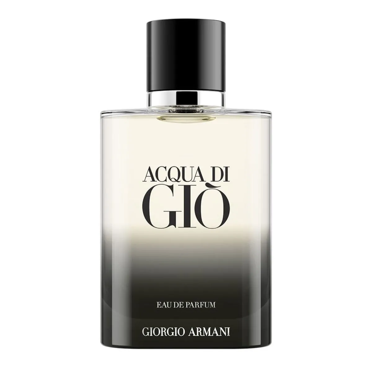Giorgio Armani Acqua Di Gio Eau de Parfum - Perfume Masculino - 100ml 100ml