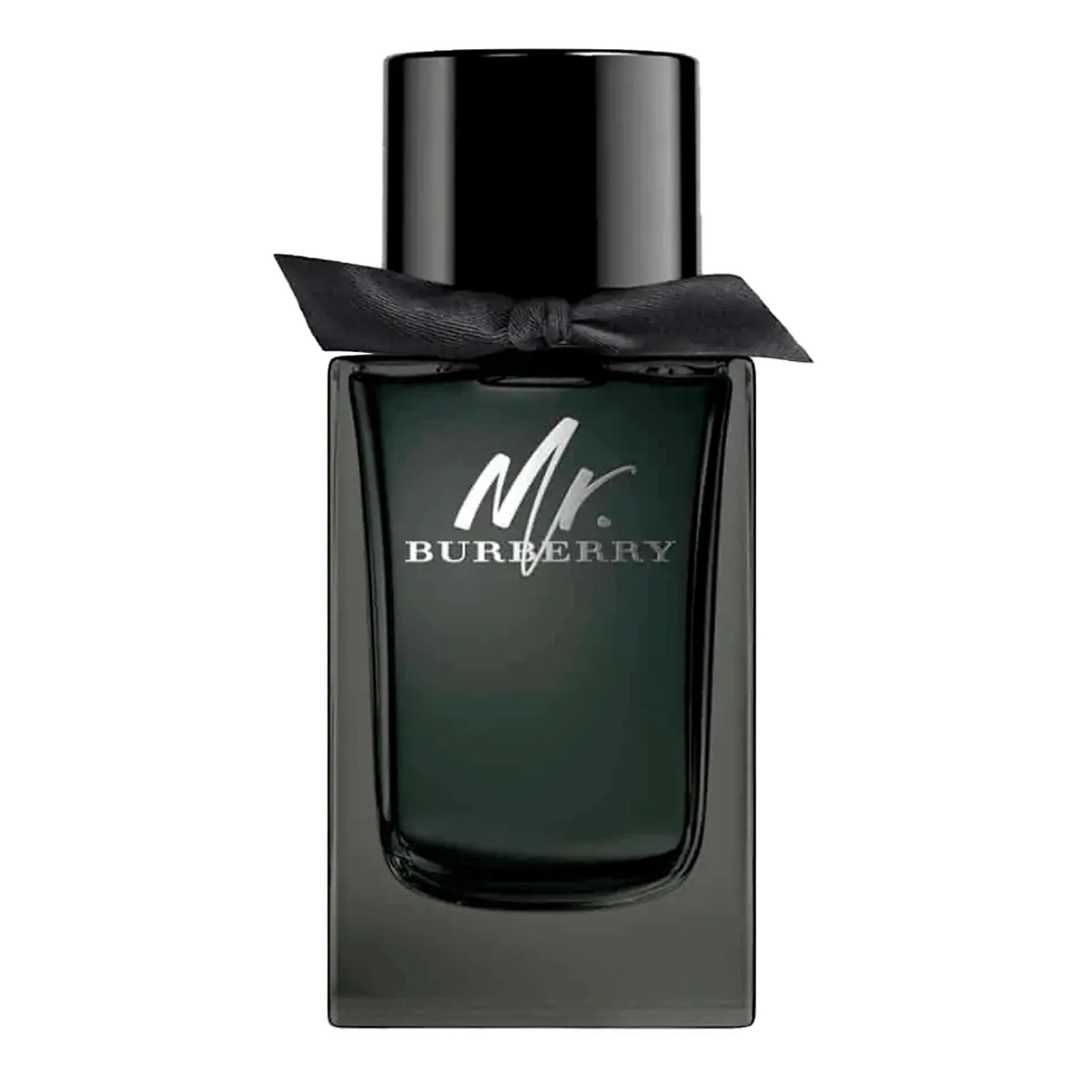 Burberry Mr Burberry Eau de Parfum - Perfume Masculino - 100ml 100ml