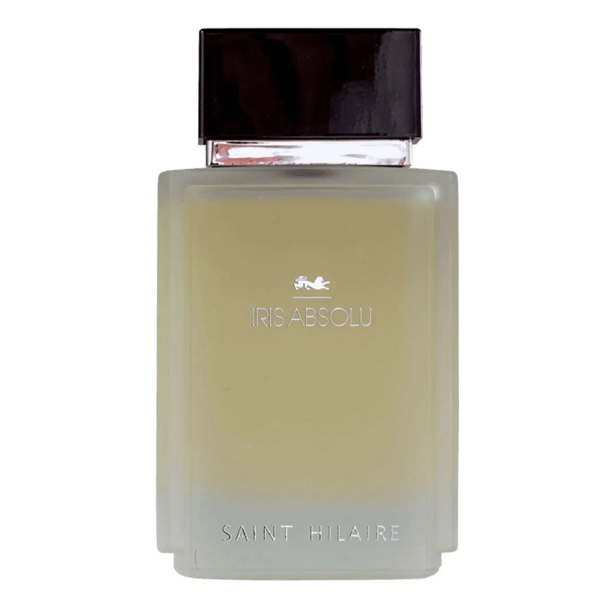 Saint Hilaire Iris Absolu Eau de Parfum - Perfume Masculino - 100ml 100ml