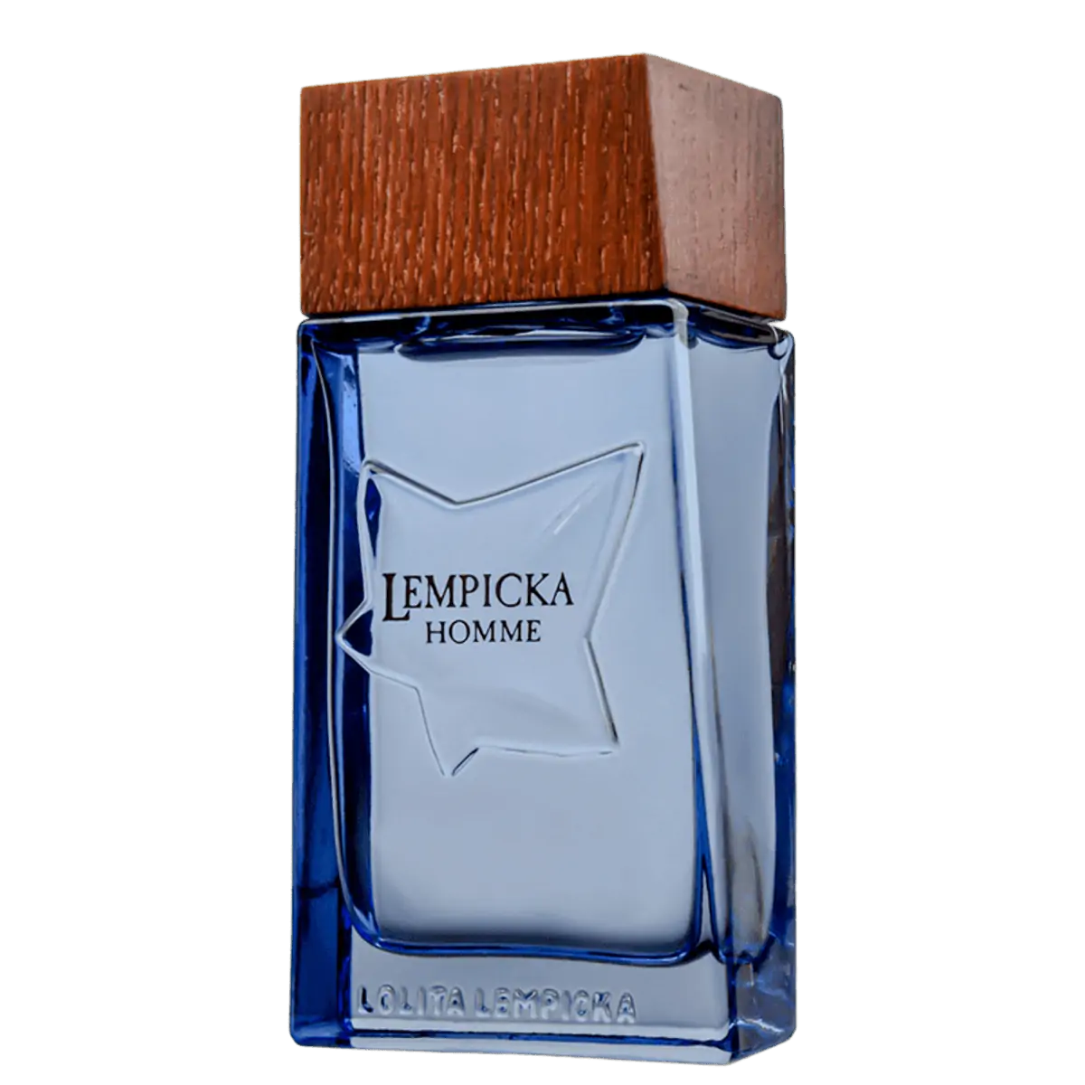 Perfume Lolita Lempicka Homme Eau de Toilette - Perfume Masculino - 100ml