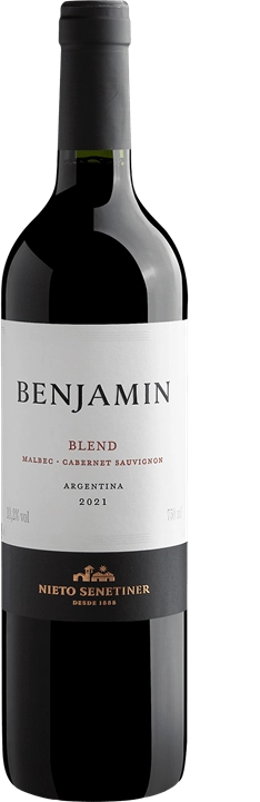 Vinho Benjamin Nieto Malbec/bonarda