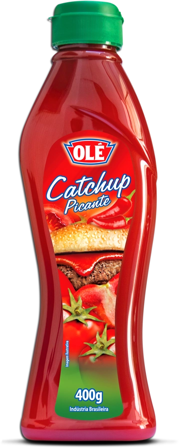 Catchup Picante 24/200