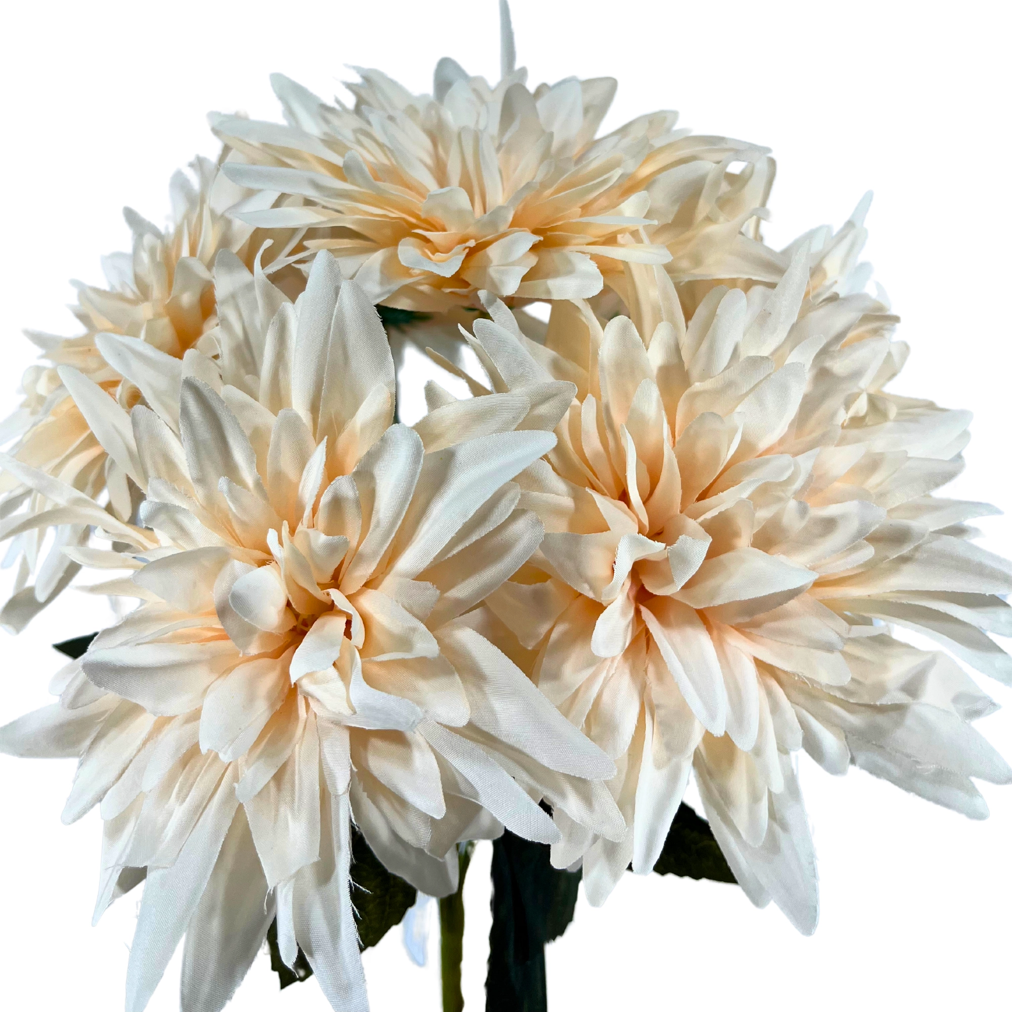 Buque Dalia X7 Champanhe 42cm 42556ch Bela Flor