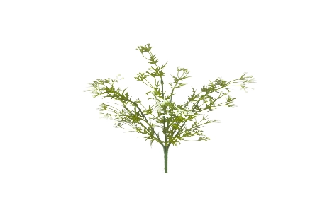 Buque Mosquitinho X5 35cm 42206 Bela Flor