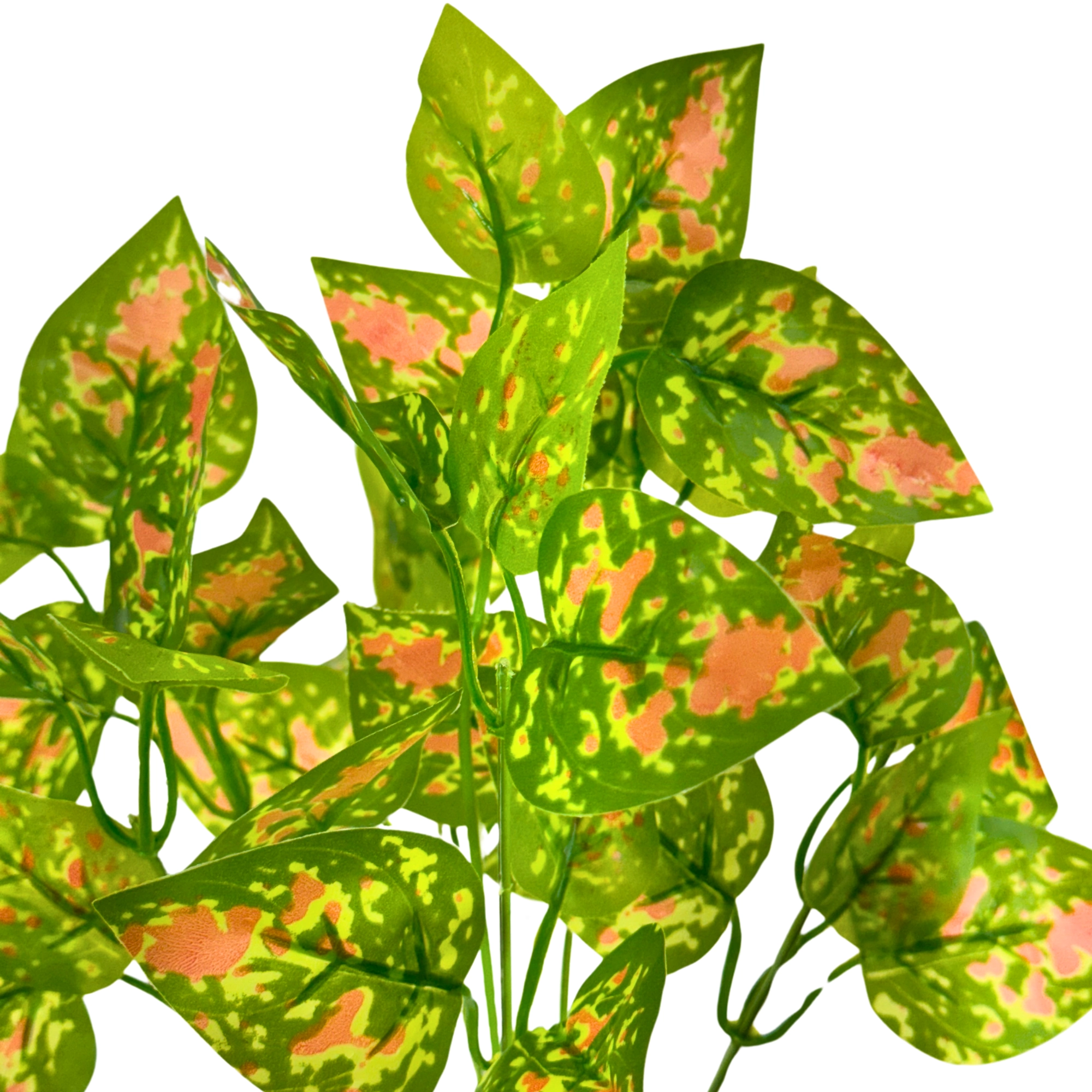 Buque Folha Coleus X7 34cm 42691 Bela Flor