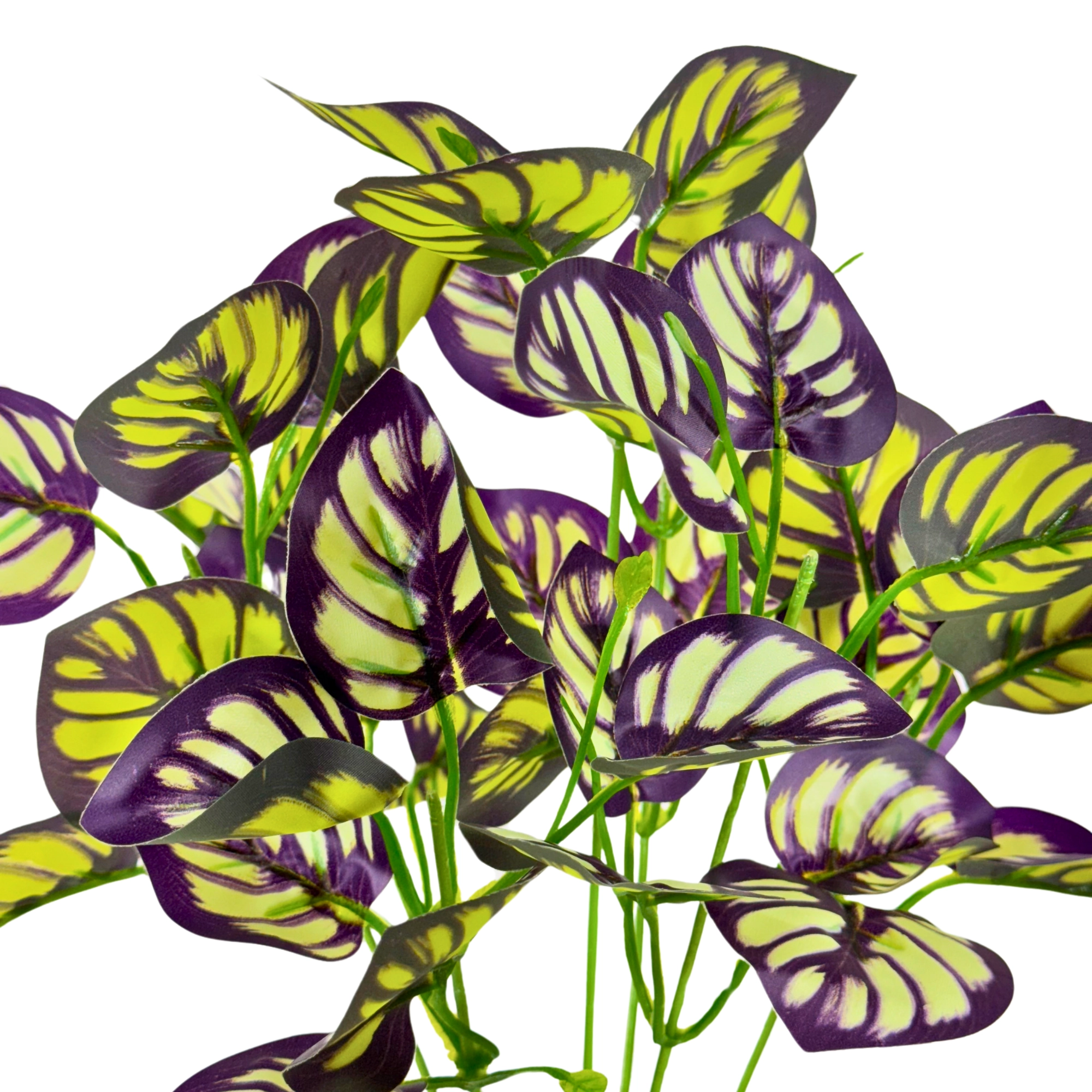 Buque Folha Peperomia X7 34cm 42692 Bela Flor